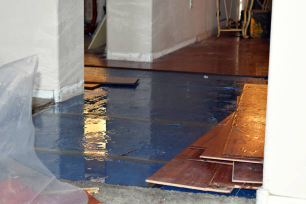Professional Sewage Cleanup technician working in Garland, UT